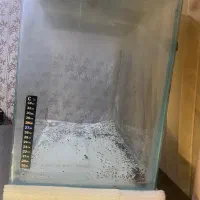 آکواریوم شیشه خم|ماهی|چالوس, |دیوار