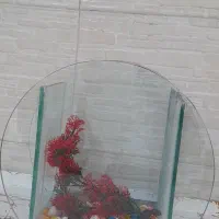 آکواریوم ماهی