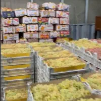 حجره میدان تره بار