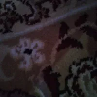 هر کس روده و سیرابی و کله پاچه قربانی را نمیخواد