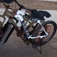 دوچرخه ۲۶ حرفه ای