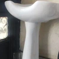 سرشور ایستاده