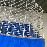 قفس عروس هلندی