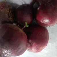 لبو محلی درجه یک و ارگانیک