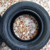 دو حلقه لاستیک یزد