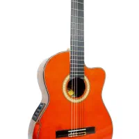 گیتارپیکاپدار واشبرن آلمانی