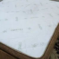 تشک طبی ارتوپدیک داتیس از نظر شرعی پاک