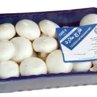 قارچ دکمه ای ملارد (بسته بندی 200،400،1000 گرمی)