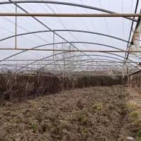 گلخانه اسکلت گالوانیزه