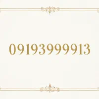 0919 399 9913
