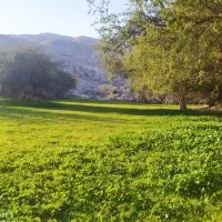 اجاره زمین کشاورزی