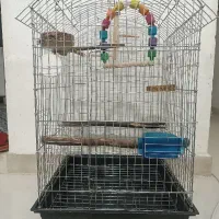 قفس پرنده تمیز با لوازم