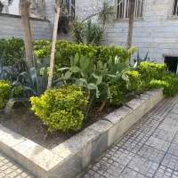 55متر-با-پارکینگ-بهترین-کوچه-شرقی-ها