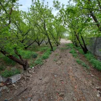 ۳۳۰ متری باغ ۴دیواری