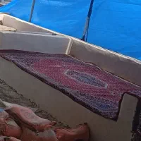 فرش مناسب تخت سنتی (۶ عدد)|فرش|تهران, دولتآباد|دیوار