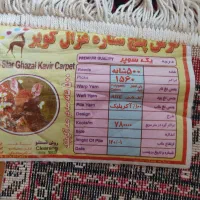 فرش 2در3|فرش|زنجان, |دیوار