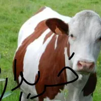 گاو و گوساله دست و پا شکسته