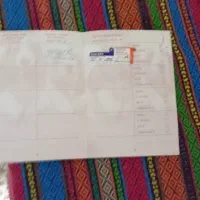 سگ روتوایلر|سگ|کهریزک, |دیوار