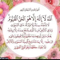 سیب زیر سورت