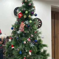 درخت کریسمس بزرگ