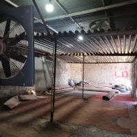 واگذری قالیشویی فعال کلیه تجهیزات قالیشویی|ماشین‌آلات صنعتی|گرگان, |دیوار