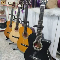 گیتار (خارجی و ایرانی)|گیتار، بیس، امپلیفایر|نقده, |دیوار