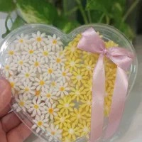 یلدا نزدیکه