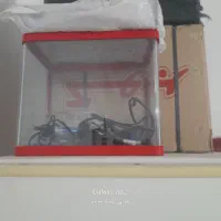 اکواریوم