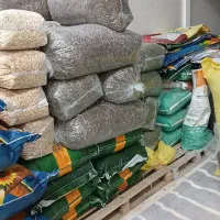 پخش تخمه  چینی وخوی