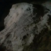 فروش کاه سفید نرم داخل سوله راحت