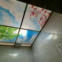 نصب انواع سقف کاذب به صورت اقساط|مصالح و تجهیزات ساختمان|بافق, |دیوار