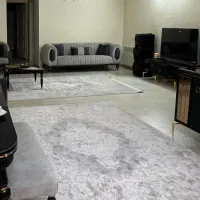 فرش ۶ متری ۱۲۰۰ شانه اکرلیک وینتر برجسته|فرش|تهران, مسعودیه|دیوار