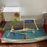 قفس و لونه پرنده