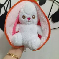عروسک خرگوش سورپرایزی