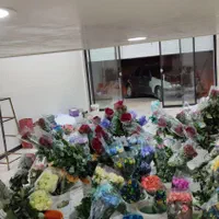 پخش عمده رز هلندی داودی عروس کادو هدیه دسته گل|گل و گیاه طبیعی|شیراز, جوادیه|دیوار