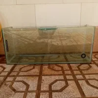 اکواریوم|ماهی|سبزوار, همت|دیوار