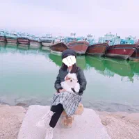 سگ شیتزو سوپر فیلت