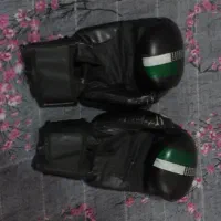 دستکش بوکس|تجهیزات ورزشی|شادگان, |دیوار