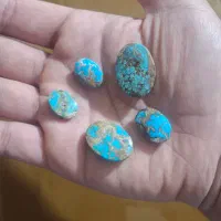 فیروزه نیشابوری