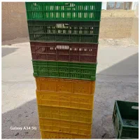 سبد سالم تمیز|ظروف نگهدارنده، پلاستیکی، یک‌بارمصرف|یزد, |دیوار