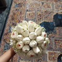 گل عروس