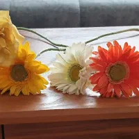 چهار شاخه گل زیبا در حد نو تمیز