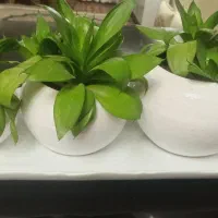 وسایل منزل|ساعت دیواری و تزئینی|گلبهار, شهر جدید گلبهار|دیوار