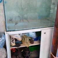 آکواریوم|ماهی|هندمینی, |دیوار