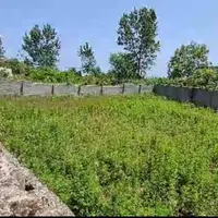 فروش زمین مسکونی ۵۰۰متری در قلعه‌بین لیسار|فروش زمین و ملک کلنگی|لیسار, |دیوار