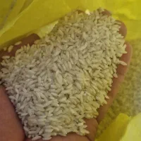 برنج عنبر بو اعلا