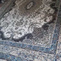 یک عدد غالی ۱۲ متری