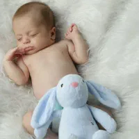 استودیو ژیلا|خدمات پذیرایی، مراسم|تهران, صد دستگاه|دیوار