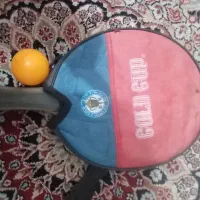 دسته پینگ پونگ