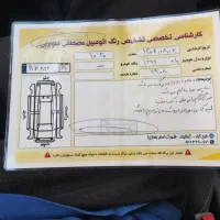 پراید 131 بی رنگ شاسی پلمپ